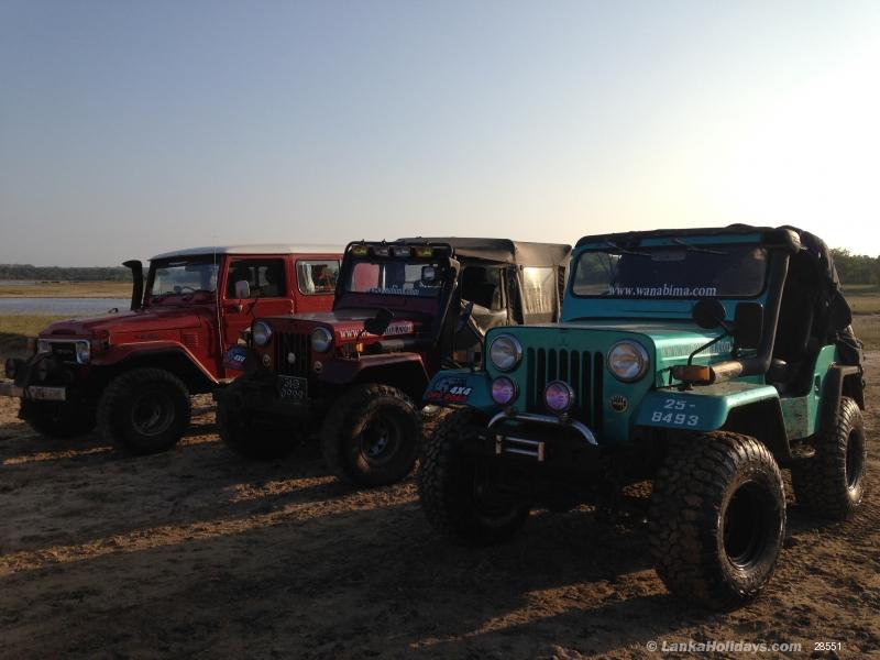 any Jeep
